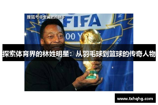 探索体育界的林姓明星：从羽毛球到篮球的传奇人物